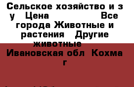 Сельское хозяйство и з/у › Цена ­ 2 500 000 - Все города Животные и растения » Другие животные   . Ивановская обл.,Кохма г.